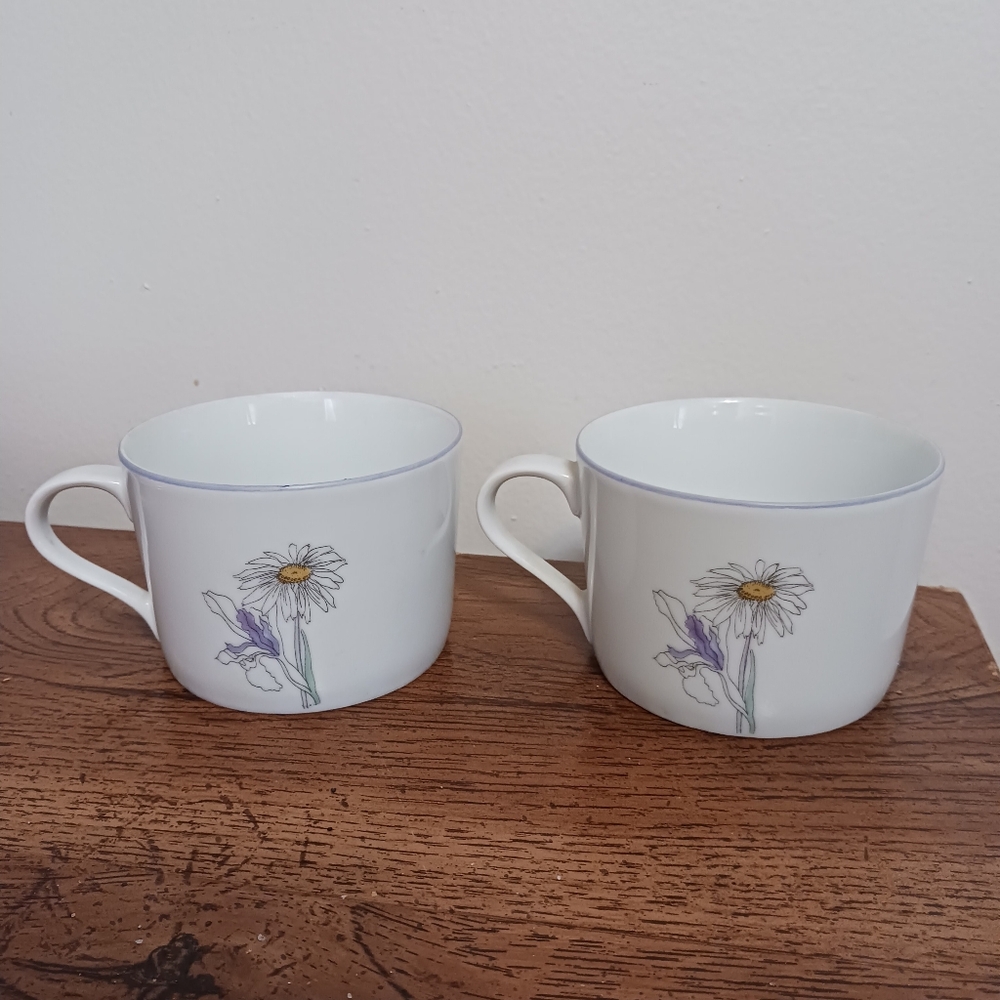 Spode Cups Pair Collectible 1981 Portugal Watercolors Floral Block Spal Vtg